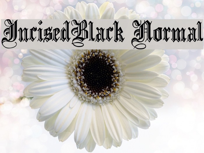 IncisedBlack Normal Font examples