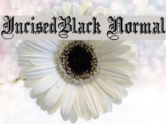 IncisedBlack Normal Example 1
