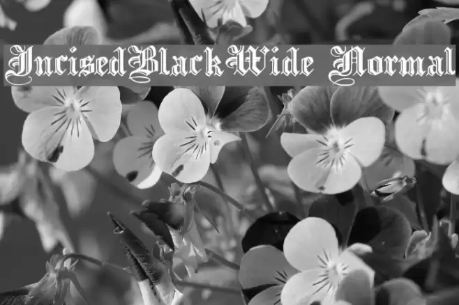 IncisedBlackWide Normal Font examples
