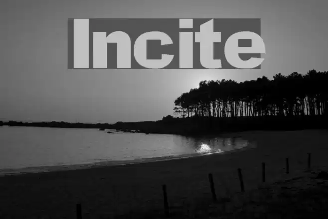 Incite Fonte examples