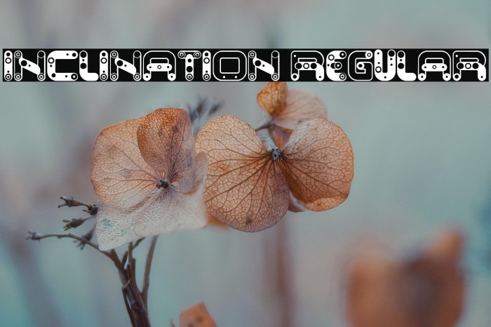 Inclination Regular Example 3