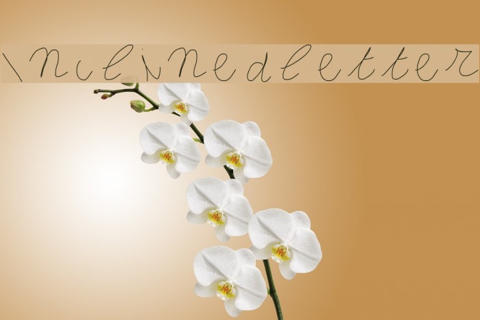 Inclinedletter Font examples