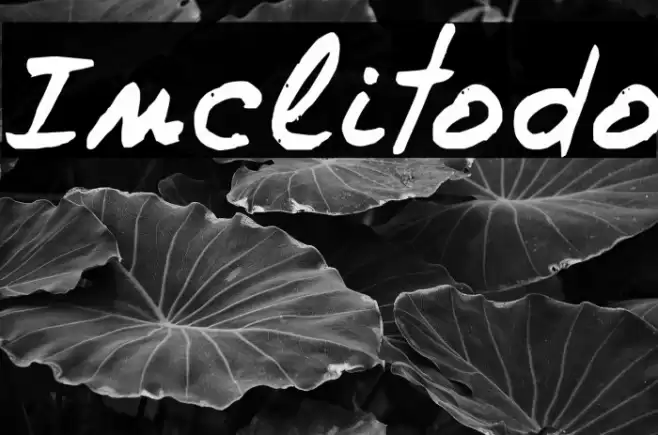 Inclitodo Font examples