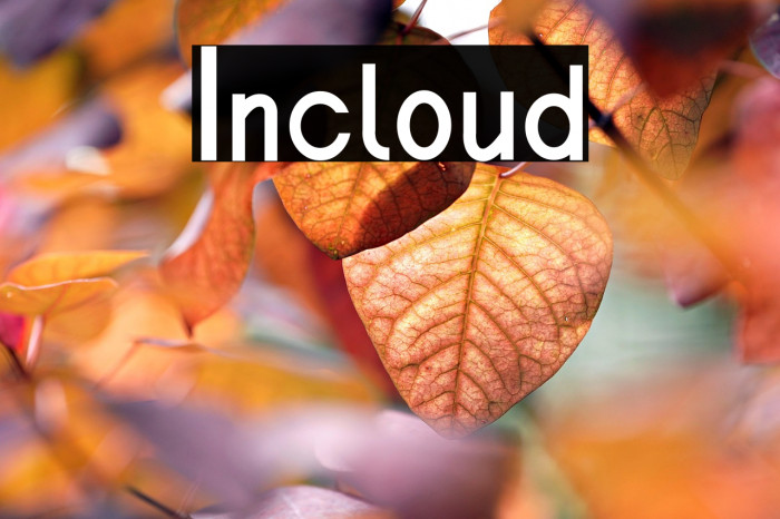 Incloud Example 2