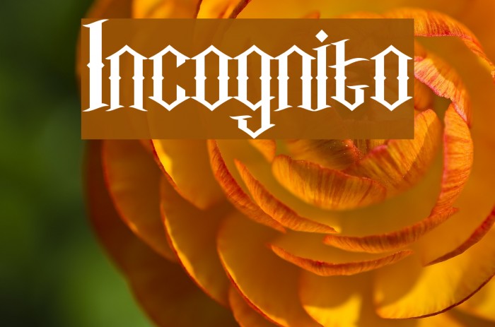 Incognito फ़ॉन्ट examples