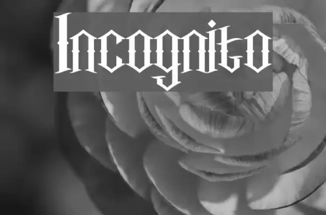 Incognito Font examples