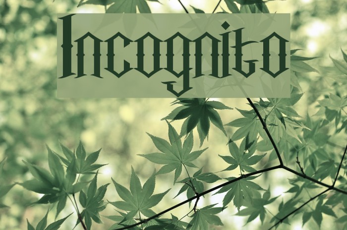 Incognito फ़ॉन्ट examples