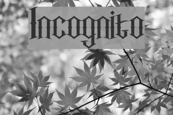 Incognito Font examples