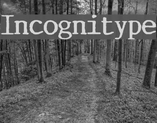Incognitype Font examples