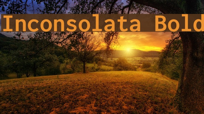 Inconsolata Bold Font examples