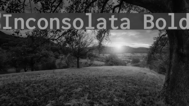 Inconsolata Bold フォント examples