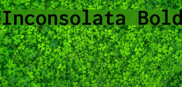 Inconsolata Bold Font examples