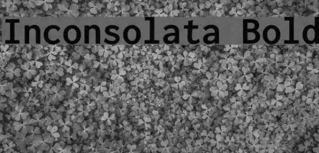 Inconsolata Bold フォント examples