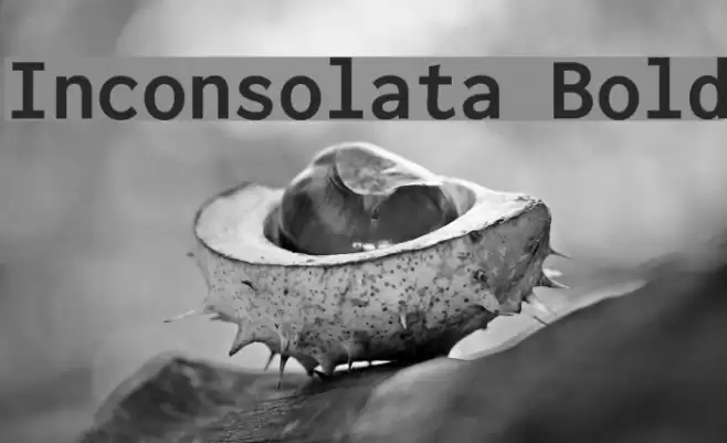 Inconsolata Bold フォント examples