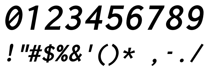 Inconsolata LGC Markup Bold Italic Font OTHER CHARS