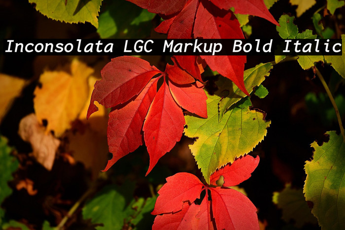 Inconsolata LGC Markup Bold Italic Example 3