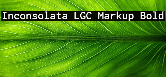 Inconsolata LGC Markup Bold Example 2