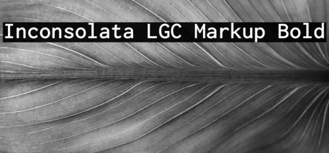 Inconsolata LGC Markup Bold Font examples