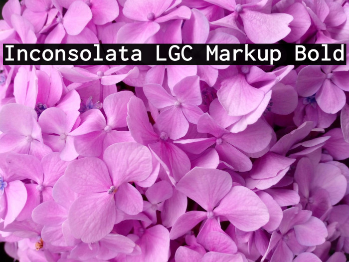 Inconsolata LGC Markup Bold Example 3