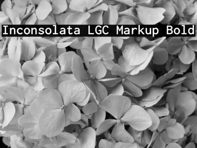 Inconsolata LGC Markup Bold Font examples