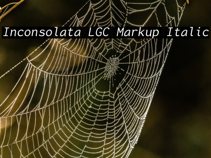 Inconsolata LGC Markup Italic Example 2