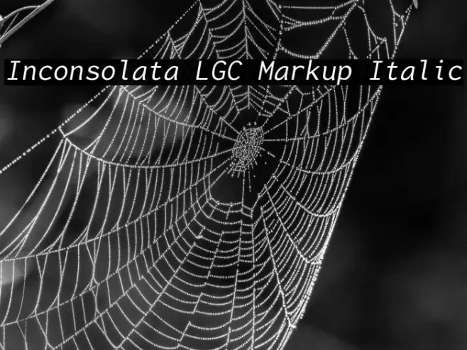 Inconsolata LGC Markup Italic Font examples