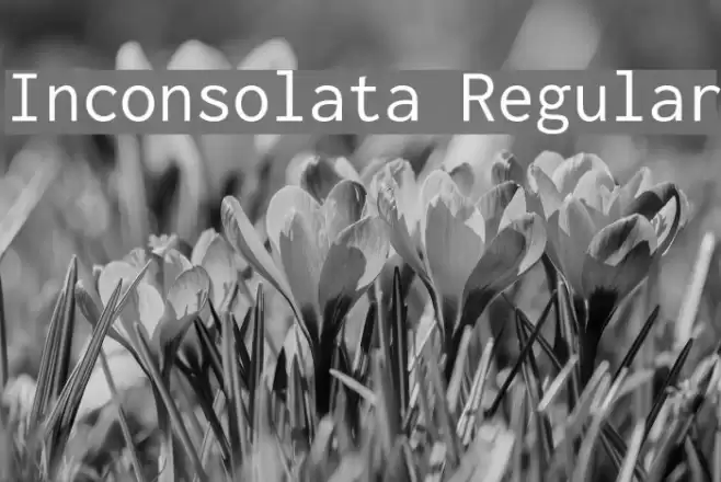Inconsolata Regular Font examples