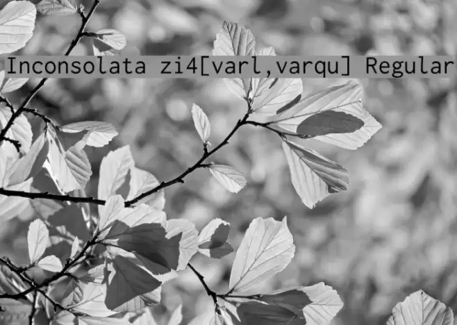 Inconsolata zi4[varl,varqu] Regular Font examples