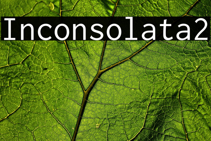 Inconsolata2 Example 2