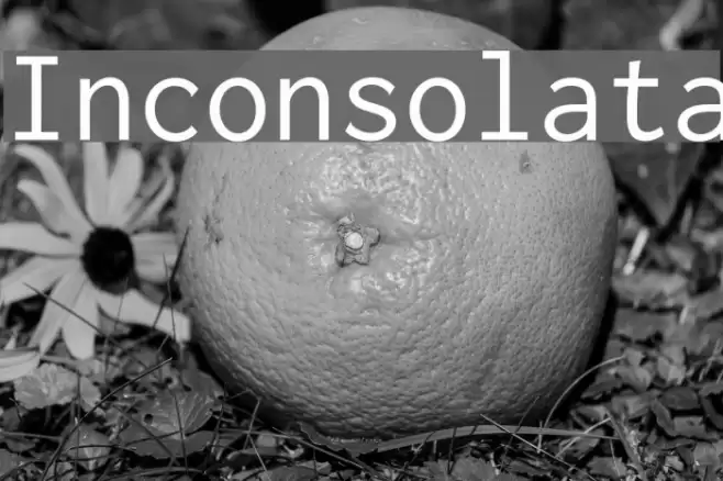 Inconsolata Font examples