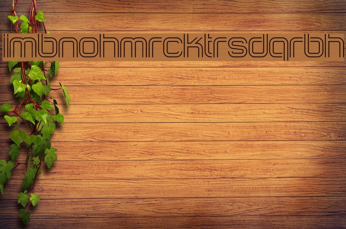 IncopinsClustersBi Example 3