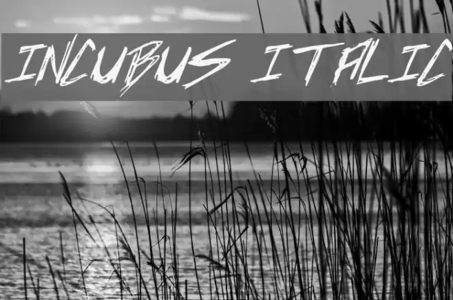 Incubus Italic Font examples