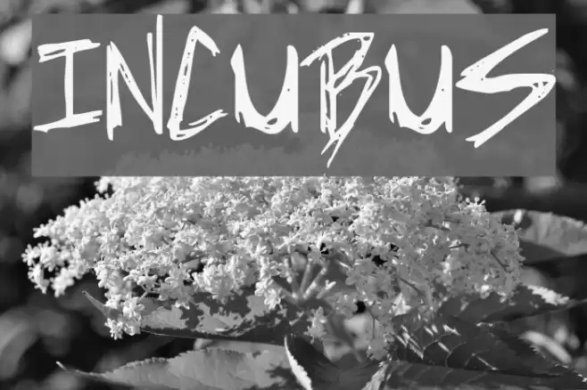 Incubus Font examples