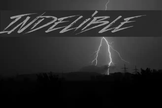 Indelible Font examples