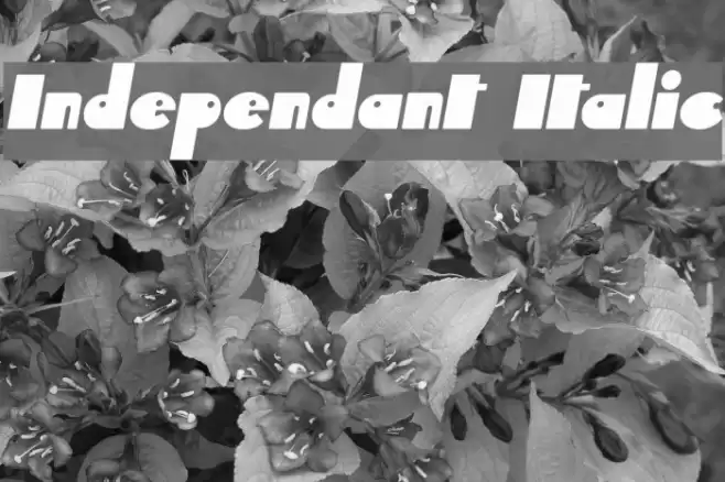 Independant Italic Font examples