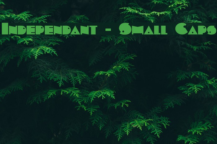 Independant - Small Caps Font examples