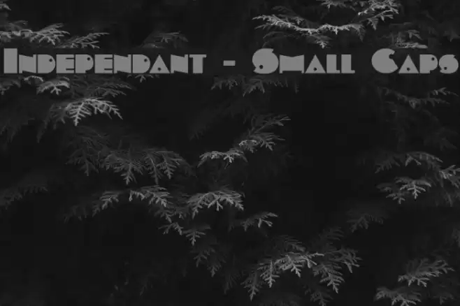 Independant - Small Caps Font examples