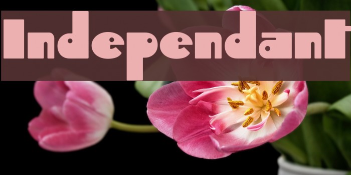 Independant फ़ॉन्ट examples