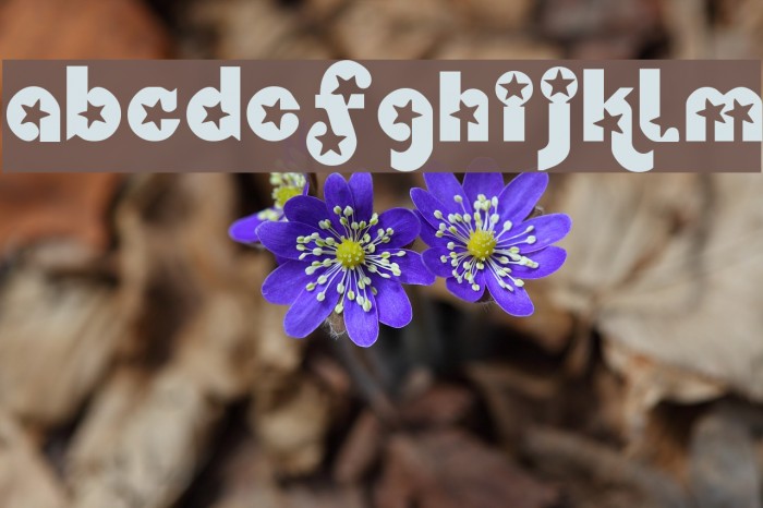 Independence Font examples