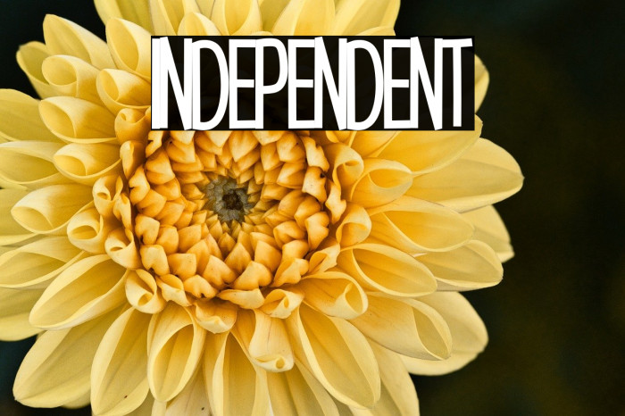 Independent2 Example 1