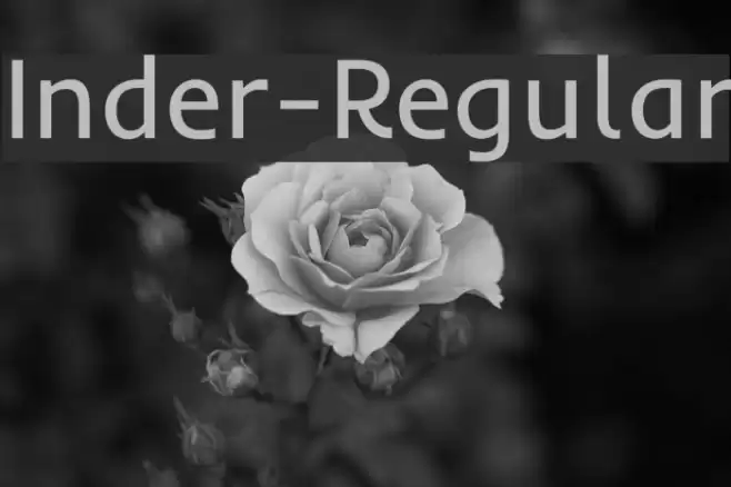 Inder-Regular Font examples