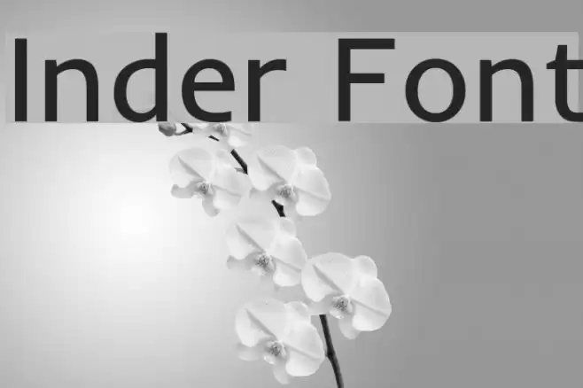Inder 字体 examples