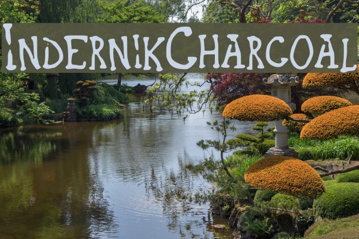 Indernik_Charcoal Example 2