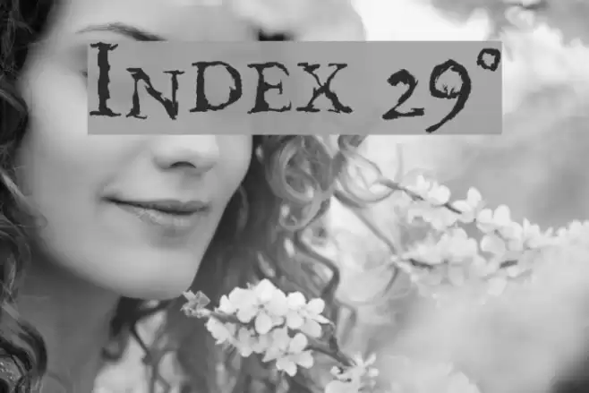 Index 29° Font examples