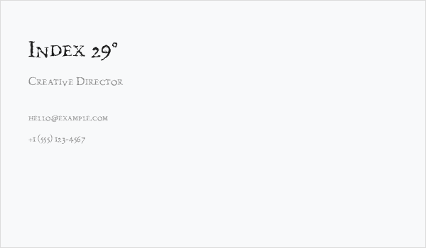 Index 29° Business Card