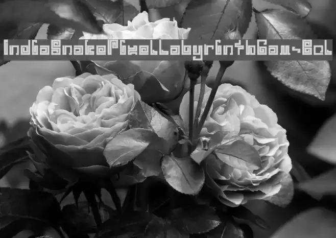 IndiaSnakePixelLabyrinthGam-Bol Font examples