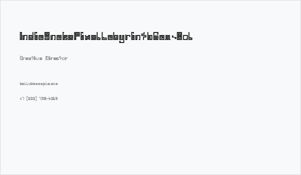 IndiaSnakePixelLabyrinthGam-Bol Business Card