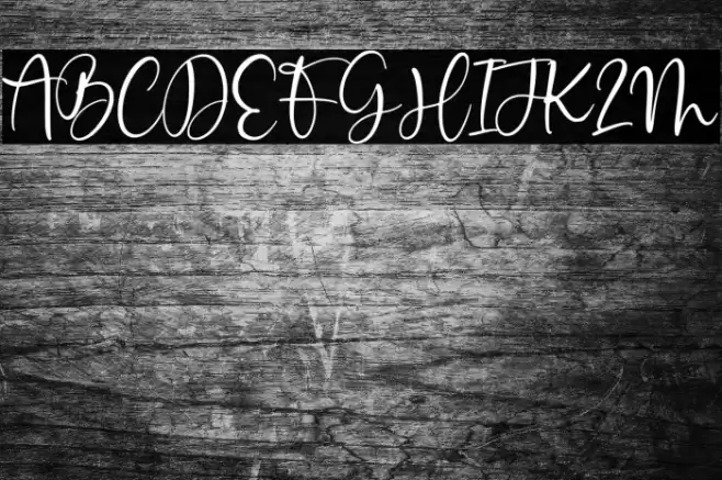 Indian Feather Font examples