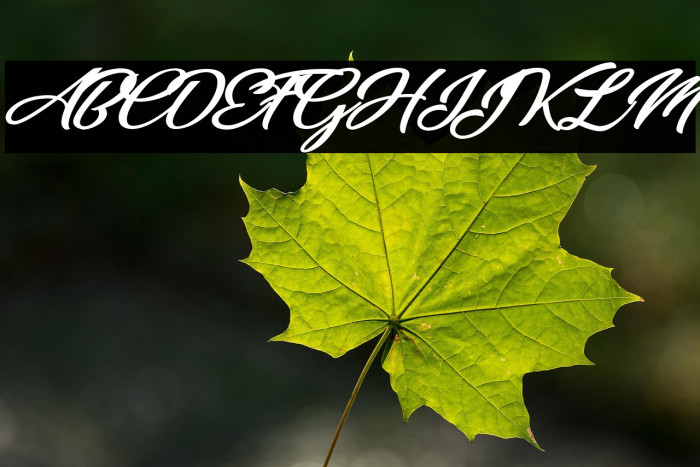 Indian Personal Use Example 1