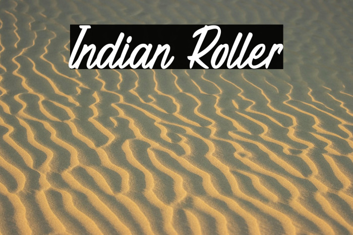 Indian Roller Example 1